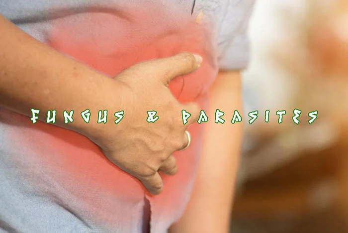 Fungus and Parasites